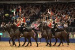 Cavalry - 00075